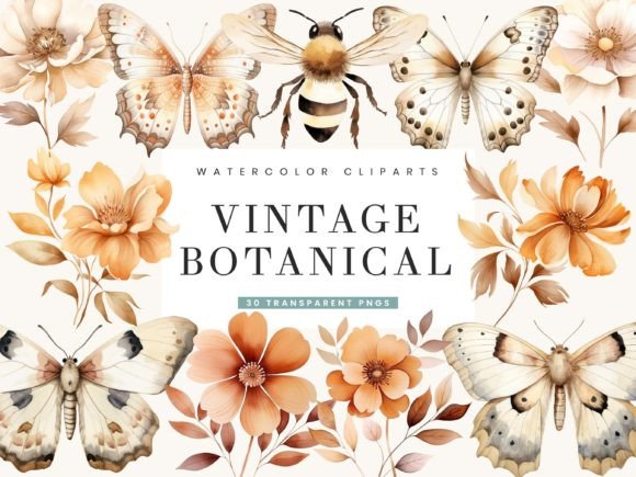 Download Watercolor Vintage Botanical Clipart - Clip Collection