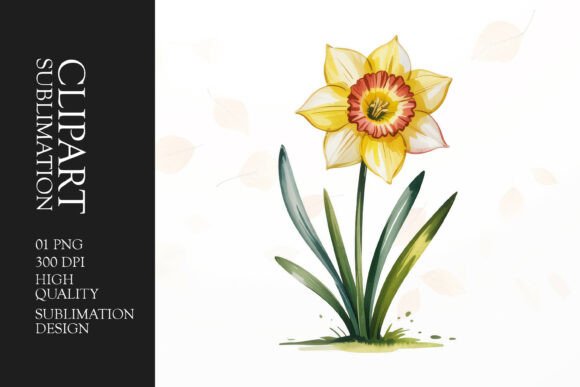 Download Single Daffodil Clipart PNG - Clip Collection