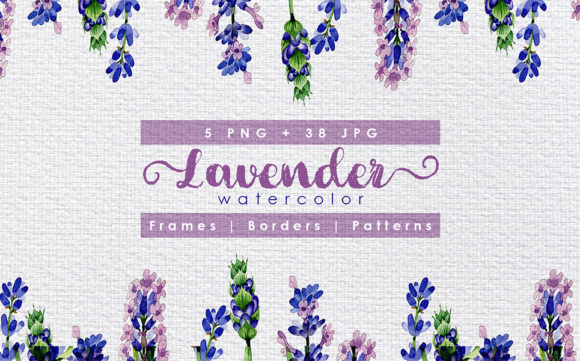 Download Holiday Purple Lavender Flowers Watercolor Set - Lavender flower Collection