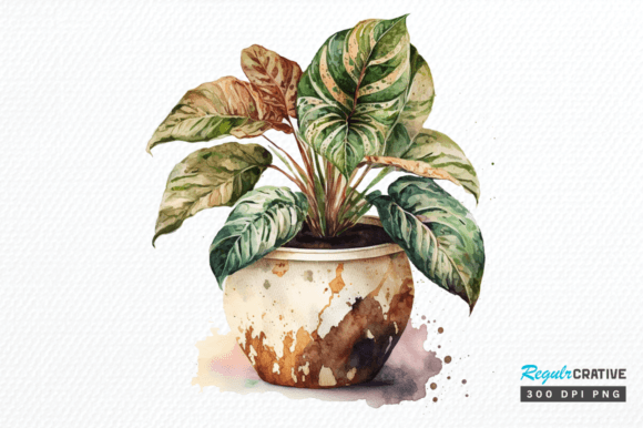 Download Watercolor Potted Plant Clipart Design - Clip Collection