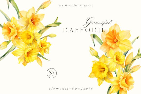 Download Watercolor Daffodil Clipart PNG - Clip Collection