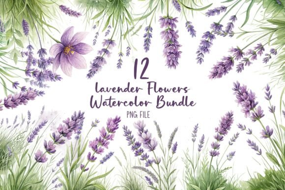 Download Lavender Flowers Watercolor Bundle - Lavender flower Collection
