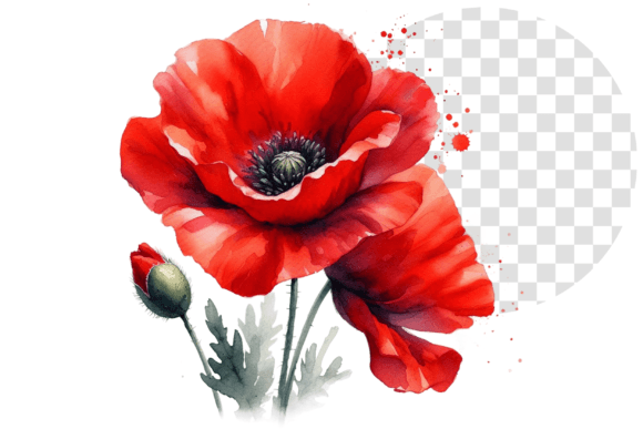 Download Poppify Watercolor Red Poppy Clipart - Clip Collection