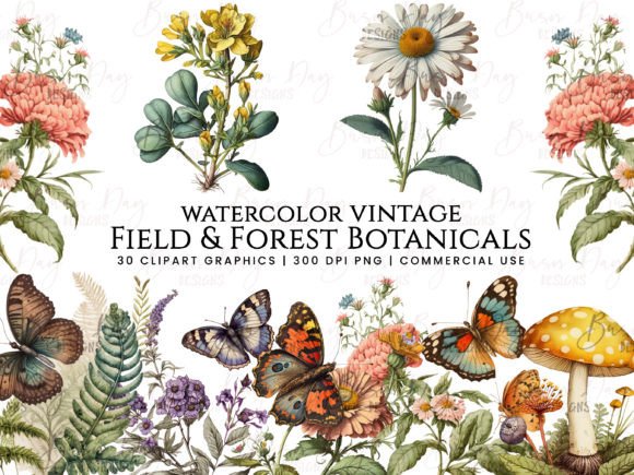 Download Field &amp; Forest Vintage Botanical Clipart - Clip Collection