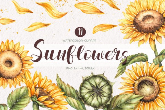 Download Watercolor Sunflowers Clipart PNG - Clip Collection