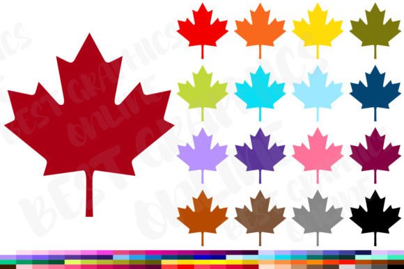 Download Maple Leaf Clipart Canadian Leaves Image - Leaf Collection