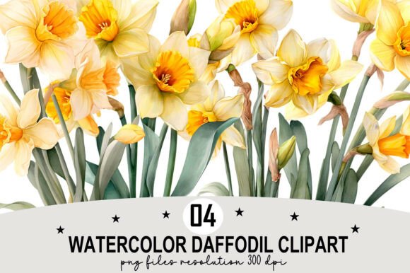 Download Watercolor Daffodil Clipart - Clip Collection
