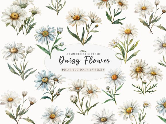 Download Daisy Flower Clipart, Watercolor Daisy - Clip Collection
