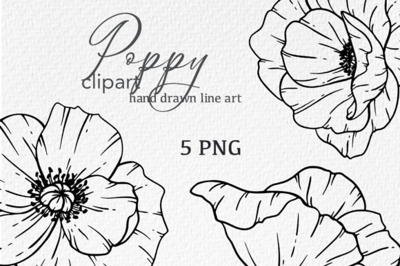 Download Poppy Flowers LINE ART. Poppy CLIPART - Clip Collection