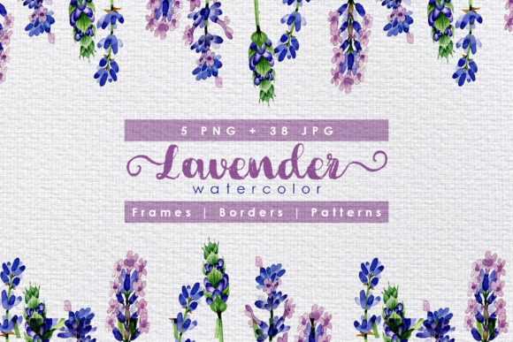 Download Holiday Purple Lavender Flowers Watercolor Set - Lavender flower Collection