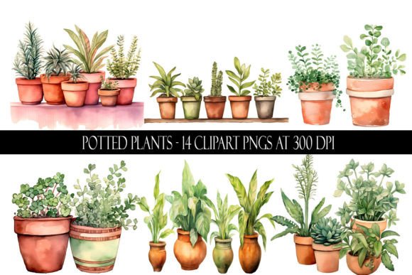 Download Potted Plant Clipart - Clip Collection
