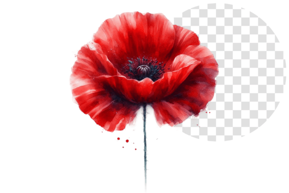 Download Poppify Watercolor Red Poppy Clipart - Clip Collection