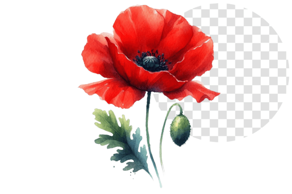 Download Poppify Watercolor Red Poppy Clipart - Clip Collection