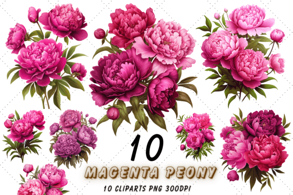 Download Magenta Peony Floral Sublimation Clipart - Clip Collection