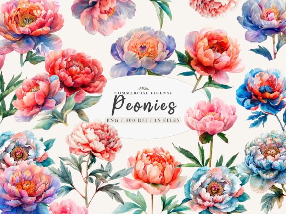 Download Peony Painting, Peony Clipart, Gardening - Clip Collection