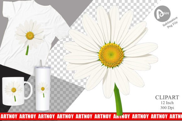 Download Spring Daisy Clipart - Clip Collection