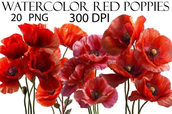 Download Watercolor Red Poppies Clipart - Clip Collection