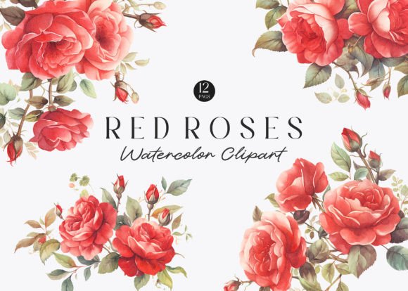 Download Watercolor Red Roses Clipart - Clip Collection