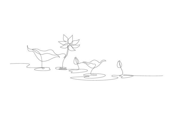 Download Lotus Water Lily Blooming and Leaf Pond - Leaf Collection