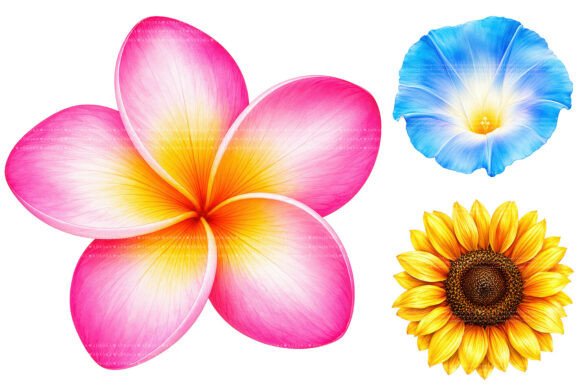 Download Vibrant Summer Flower Clipart - Clip Collection