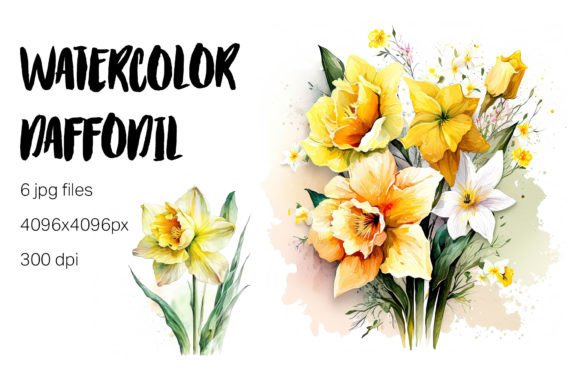 Download Watercolor Daffodil Clipart - Clip Collection