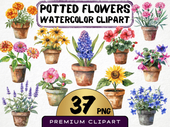 Download Potted Flowers Clipart Bundle 37 PNG - Clip Collection