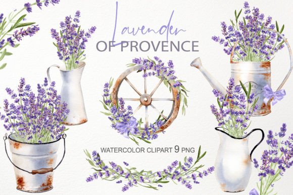 Download Watercolor Lavender Flower Illustration - Lavender flower Collection