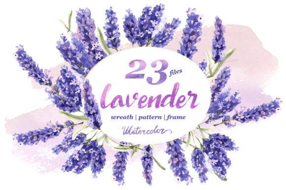 Download Lavender Flowers in Watercolor - Lavender flower Collection