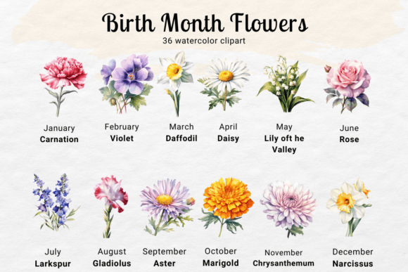 Download Birth Flower Watercolor Clipart - Clip Collection