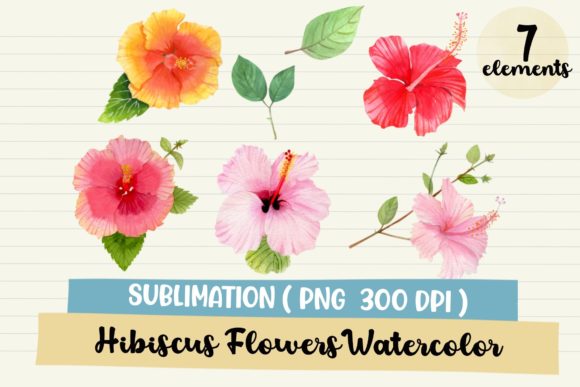 Download Hibiscus Flower Watercolor Clipart - Clip Collection