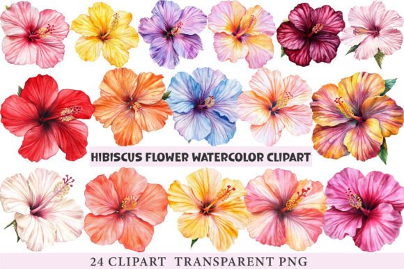Download Hibiscus Flower Watercolor ClipArt's Png - Clip Collection