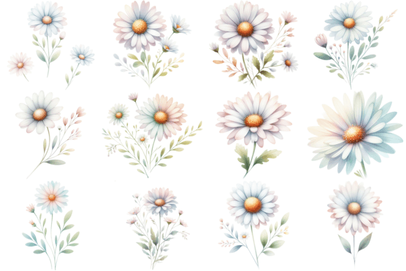 Download 12 Daisy Watercolor Clipart Bundle - Clip Collection