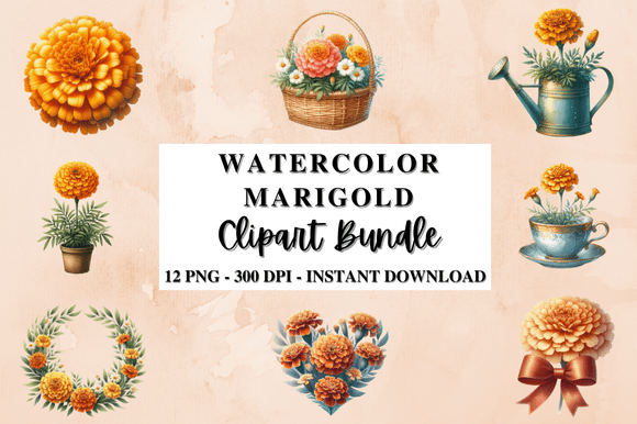 Download Watercolor Marigold Clipart Bundle - Clip Collection