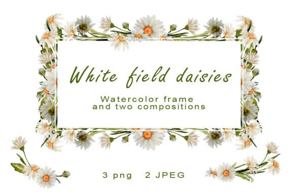 Download Daisy Watercolor Frame Clipart Chamomile - Clip Collection