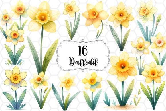 Download Daffodil Flower Watercolor Cliparts PNG - Clip Collection