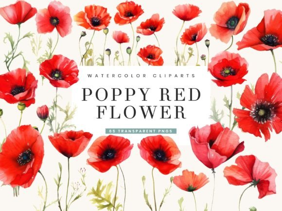 Download Poppy Red Flowers Clipart Bundle - Clip Collection