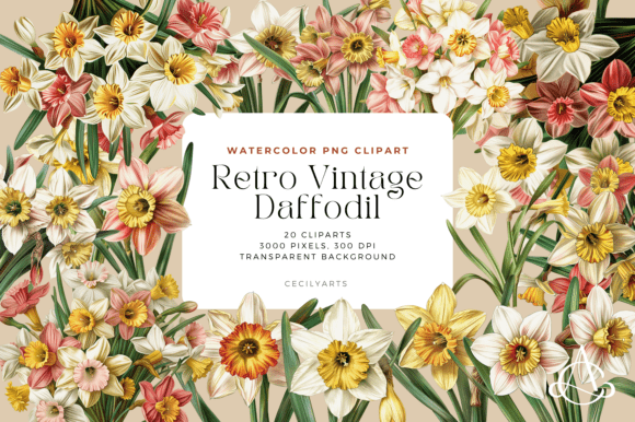 Download Retro Vintage Daffodil Cliparts - Clip Collection
