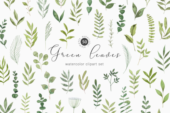 Download Watercolor Greenery Botanical Clipart - Clip Collection