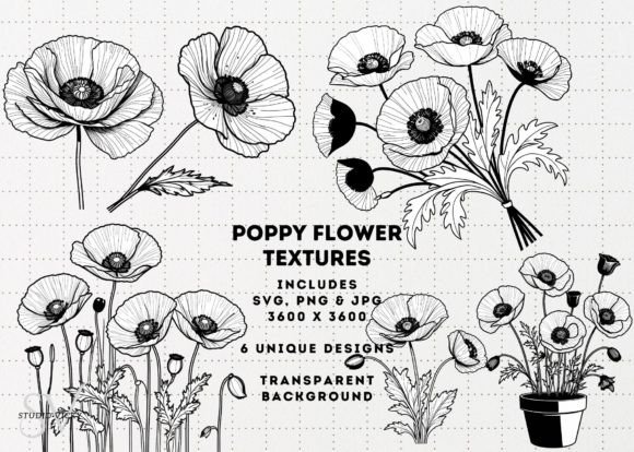 Download Poppy Flowers Clipart - SVG, PNG, JPG - Clip Collection