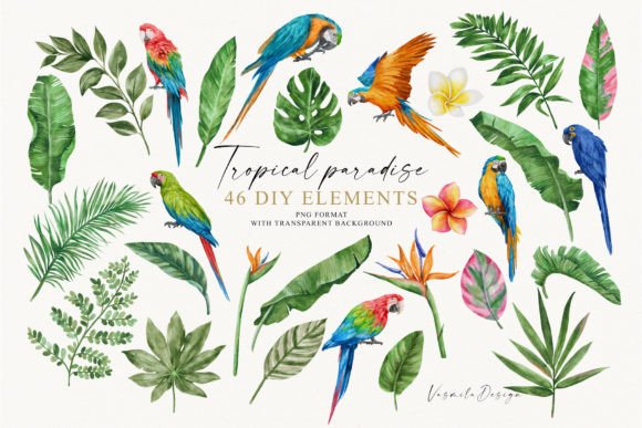 Download Watercolor Tropical Clipart - Clip Collection
