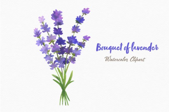 Download Lavender Flowers Watercolor Bouquet Png - Lavender flower Collection
