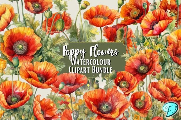 Download Poppy Flowers Watercolour Clipart Bundle - Clip Collection