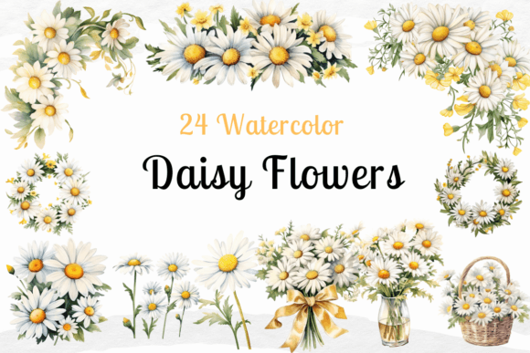 Download Daisy Flowers Watercolor Clipart - Clip Collection