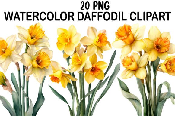 Download Watercolor Daffodil Clipart - Clip Collection