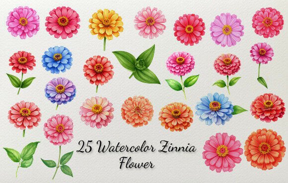 Download 25 Watercolor Zinnia Flower - Premium Resources