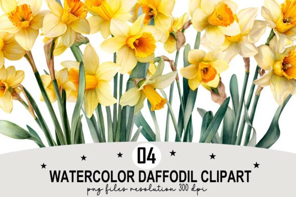 Download Watercolor Daffodil Clipart - Clip Collection