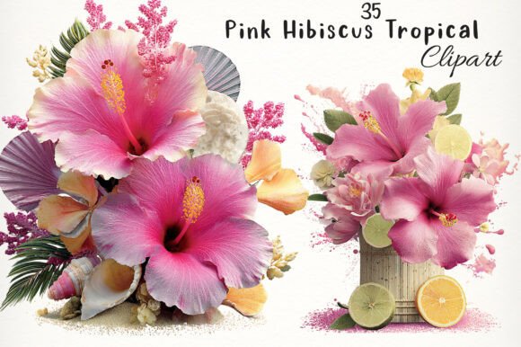Download Pink Hibiscus Tropical Clipart - Clip Collection