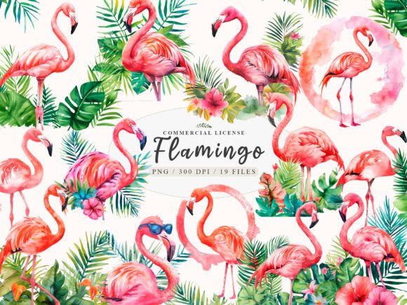 Download Flamingo Clipart, Exotic Flamingo Png - Clip Collection