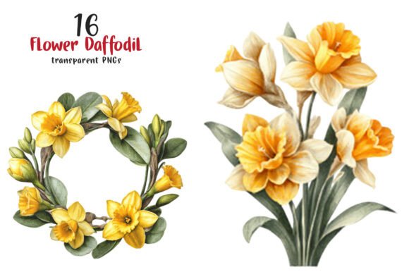 Download Watercolor Flower Daffodil Clipart - Clip Collection