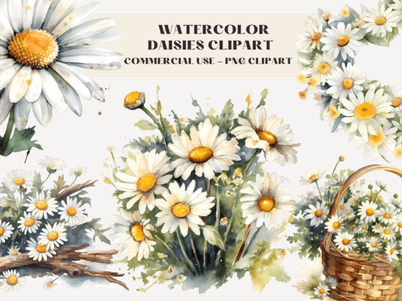 Download Watercolour Daisies Clipart Illustration - Clip Collection